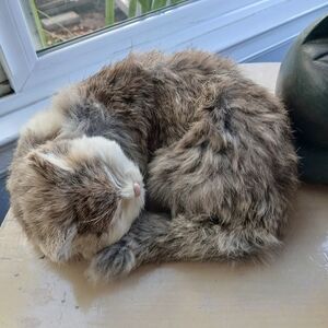 Gorgeous Vintage Handmade Faux Taxidermy Cat Rabbit Fur